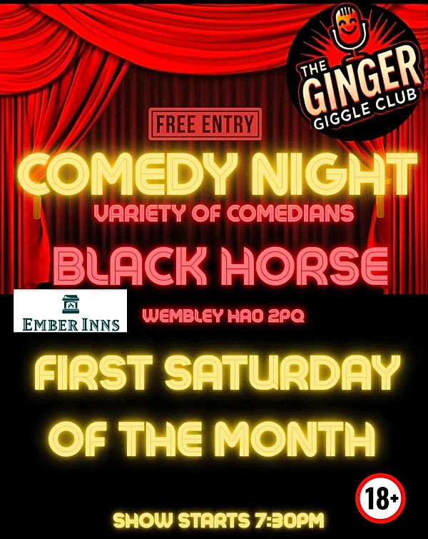 The Ginger Giggle Club - comedy show