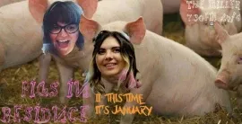 Pigs In Residence II : This Time It's January